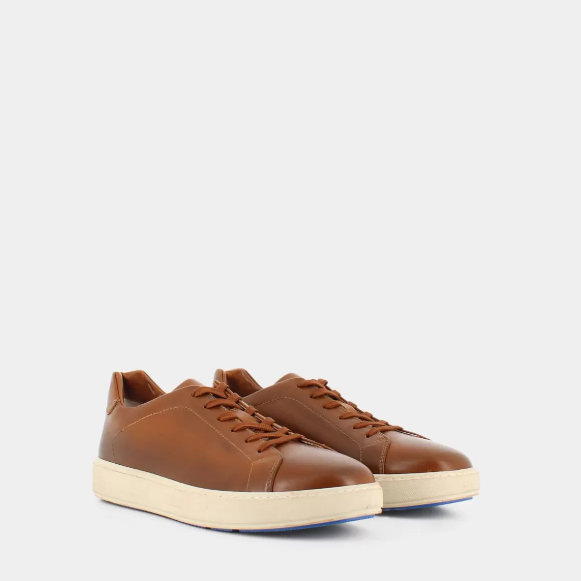 Best NERO GIARDINI E302892U Cuoio - Sneakers Marrone